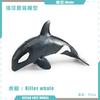 Supply 4 Simulated Marine Animal Models, Killer Whales, Walruses, Otters, Fur Seals, Children'S Cognitive Animal Ornaments