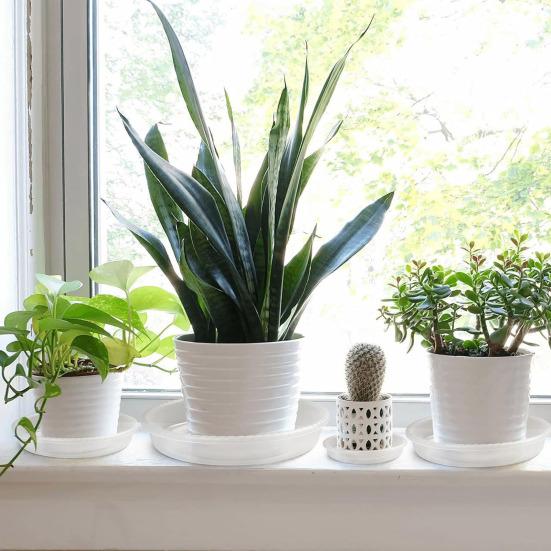 

Yousheng 4 шт., прозрачные круглые поддоны для цветочных горшков, многоразовые поддоны для цветочных горшков, поддоны для комнатных и уличных растений в горшках 6inch