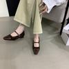 Thick Heel Shallow Mouth Mary Jane Shoes Versatile Women's Shoes 2025 Autumn New Suede Word with Retro Single Shoes
