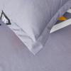 Three-piece Set Queen/King/Super King Size Bed Skirt with 2pcs Printed Bedding Pillowcase