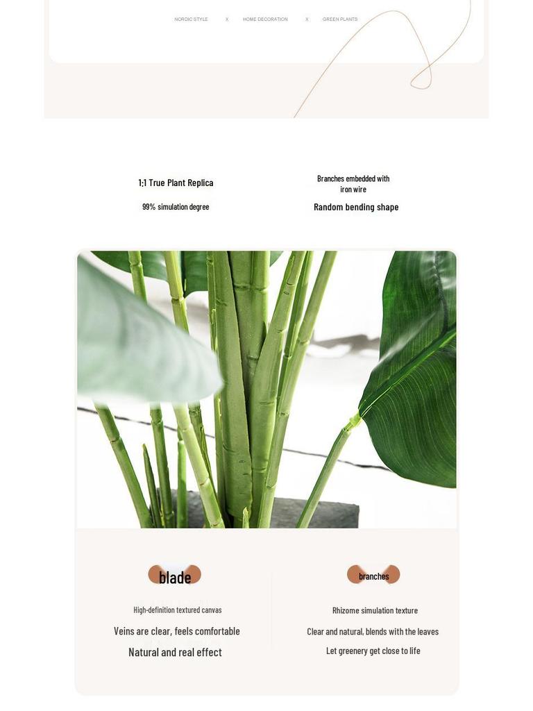 High-End Indoor Bird of Paradise Decor: Luxury Potted Traveler's Palm