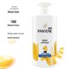 Pantene Pro-V Anti-Dandruff Shampoo
