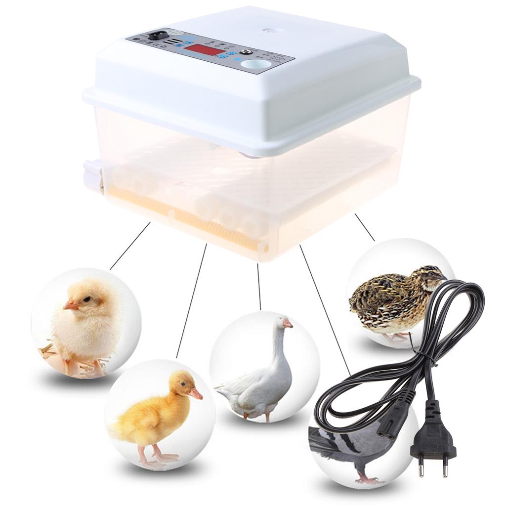Automatic 9 Egg Incubator with Digital Control and Brooder Features for Easy Bird Chicken Poultry Breeding Hatching Use