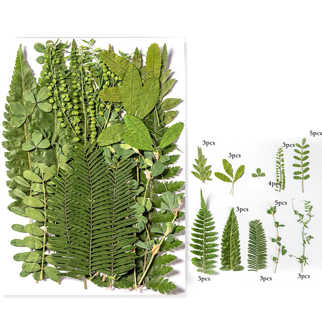 Pressed Dried Leaves Plant for Resin Molds Natural Pressed Dried Leaves For Scrapbooking Soap Candle Jewelry Making