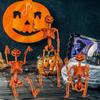 Lifelike Human Skeleton Funny Halloween Movable Skeleton Halloween Pumpkin Skeleton  Party Supplies