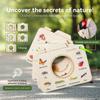 Baby Memory Card Exercise Outdoor Adventure Cognitive Teaching Aids Insects Birds Cognitive Patterns Flowers and Plants Exploration Cognitive Board