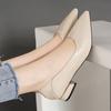 High Heels Women's Thick Heels Small Leather Shoes New Shallow Mouth Pointed Single Shoes Gentle Shoes Work