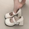 Fashion Elegant Chunky Heel Mary Jane Shoes Women 2025 Crystal Buckle Strap Platform Pumps Woman Thick High Heeled Party Shoes Ladies