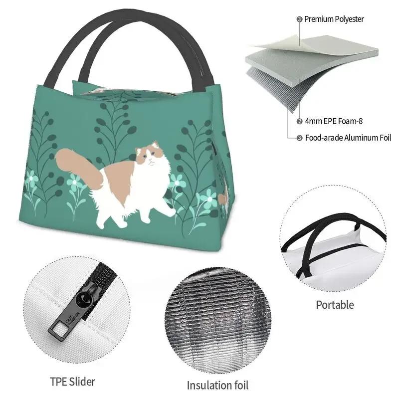 Benutzerdefinierte Elegante Ragdoll Katze Lunchtaschen Männer Frauen Warme Kühltasche Isolierte Lunchboxen für Arbeit Picknick oder Reise