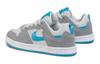 Nike Alleyoop Sb 'Particle Grey Blue' Gs CJ0883-002