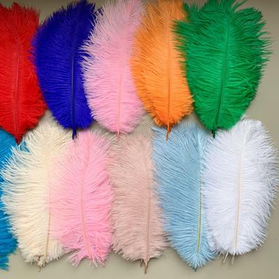 High-Quality 20-25cm Ostrich Feathers for DIY Costumes & Floral Arrangements