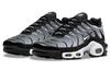 Nike Air Max Plus 'Black Metallic Silver' DM0032-003