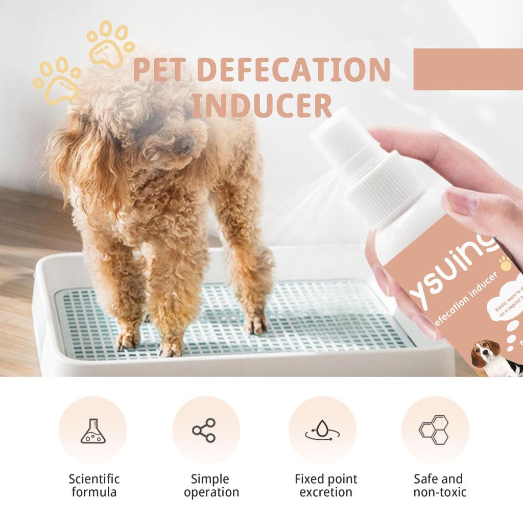 Jaysuing Pet Potty Training Spray 30ml Cats & Dogs - Pet Toilet Training Spray/Pet Potty Trainer/Pet Toilet Training Agent
