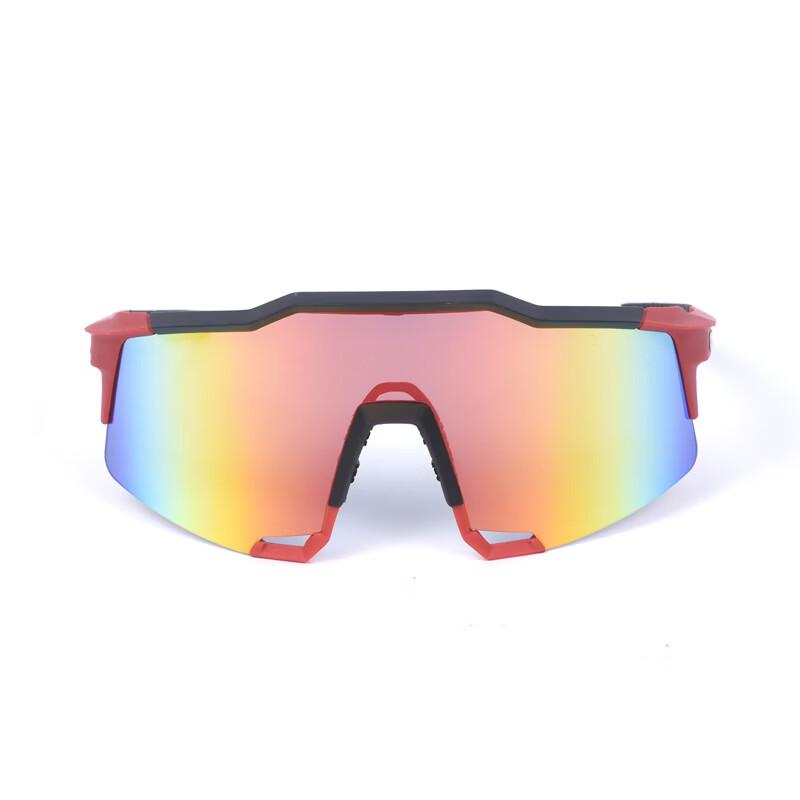 Lishi TR90 PC Mountain Biking Goggles