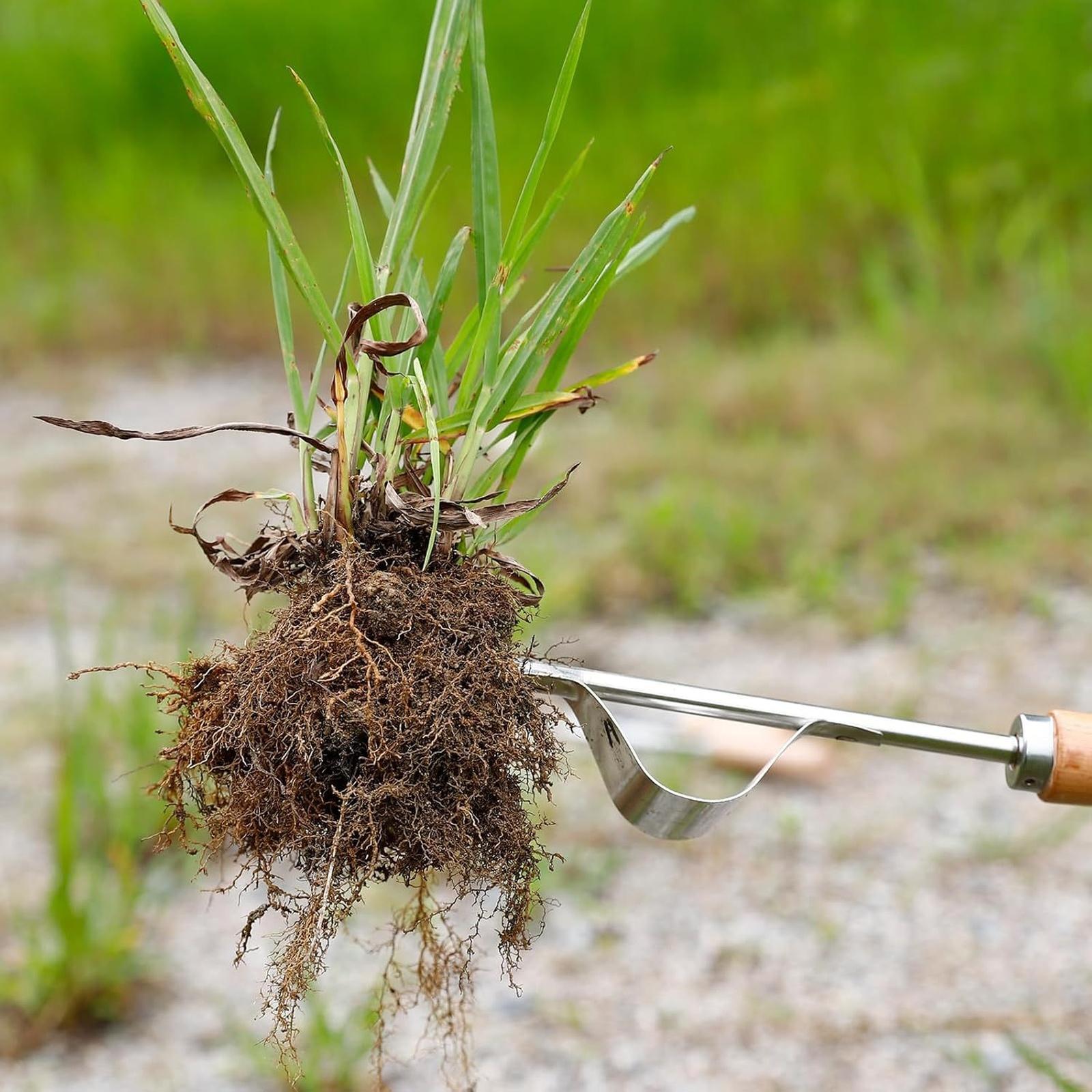 

Патио из нержавеющей стали Инструмент для удаления сорняков из трещин, Брусчатка, Подъездные пути, Удаление мха, Инструмент для выкапывания из щелей, Инструмент для прополки с корнями для посадки, Прополка One Size
