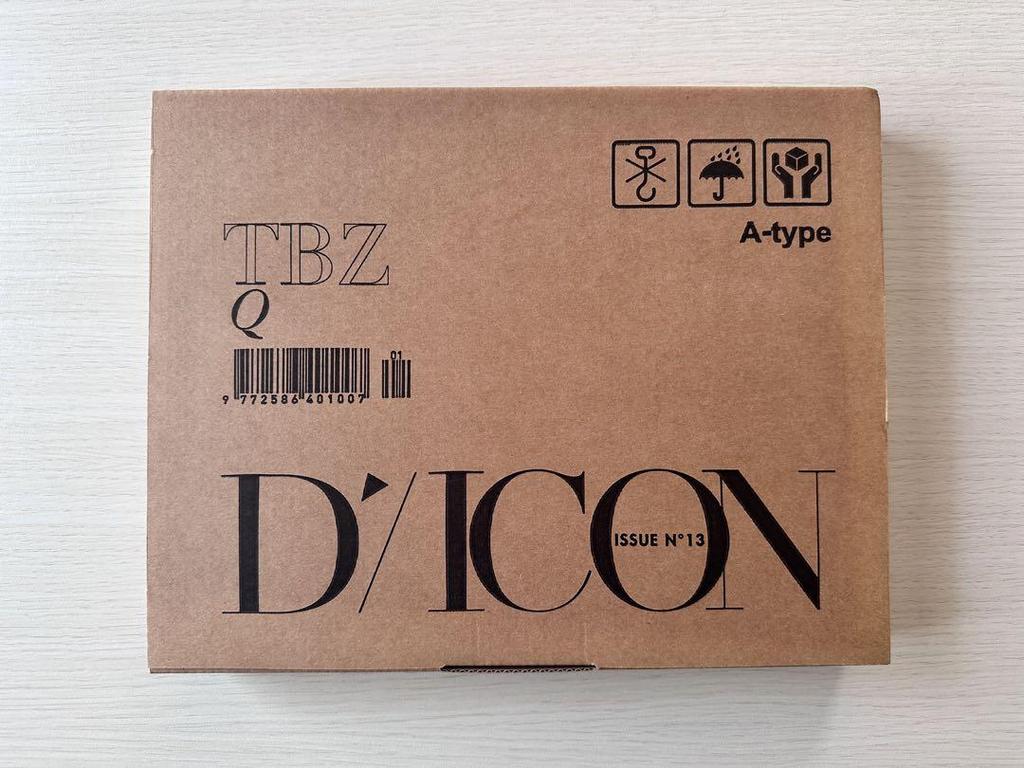 [USED] THE BOYZ Q DICON Photo Collection