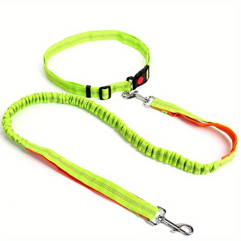 Dog Leash Free Hands Supplies Elastic Nylon Leash for Running and Walking Dog Accessories Retractable Dog Leash L зелёный