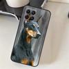 Dachshund Doberman Dog Case For Samsung Galaxy M06 M16 M36 M56 M52 M32 M12 M54 M34 M14 M35 M55 M15 M11 M31 M13 M53
