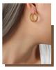French Niche Elegant Geometric Titanium Steel Gold-Plated O-Shaped Earrings with Twisted Design and Bright Finish