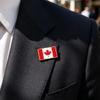 Classical Canadian Flag Brooch Sturdy Alloy Maple Needle Badge Office Wear Decoration For Long Lasting Wear