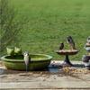 Green Ceramic Bird Drinker