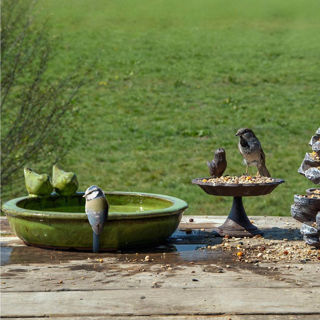 Green Ceramic Bird Drinker
