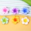 Colorful Gradient Frangipani Flower Resin Hair Clips & Shoe Buckles with Water Bottle Stickers