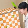Houndstooth Non-woven Storage Box Bear Pattern Large Capacity Clothing Quilt Storage Bag Student Dormitory Moving Packaging Bag