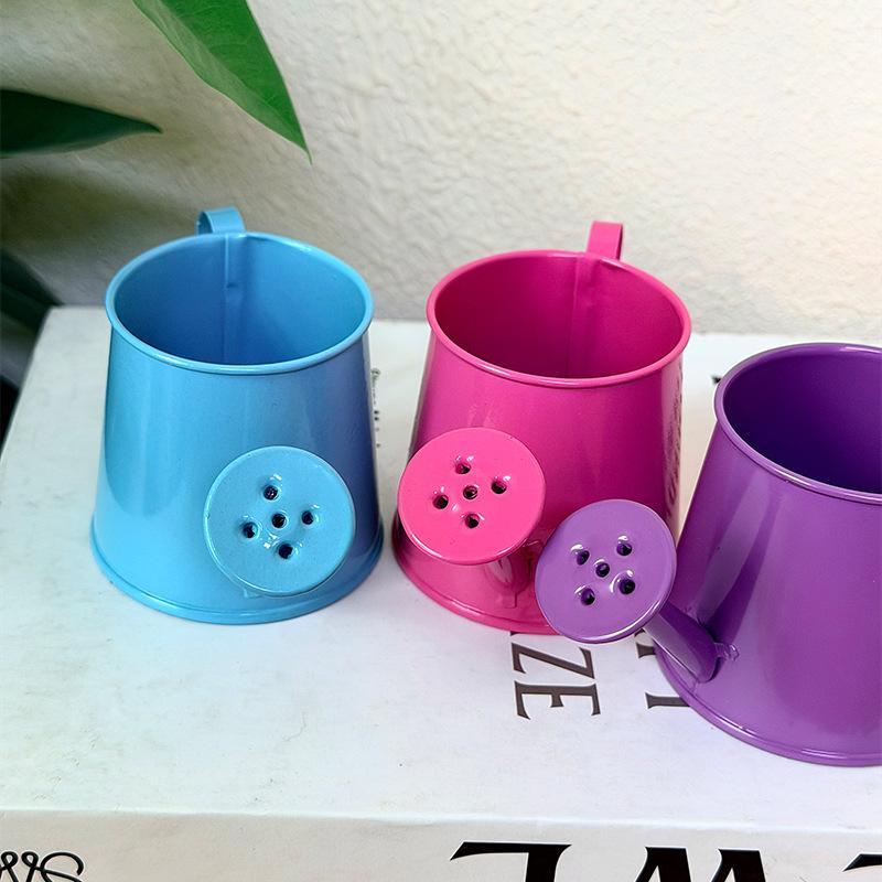 Vintage Small Metal Watering Can Mini Long Spout Pot for Indoor House Potted Flowers Home Balcony Plant Care Tool