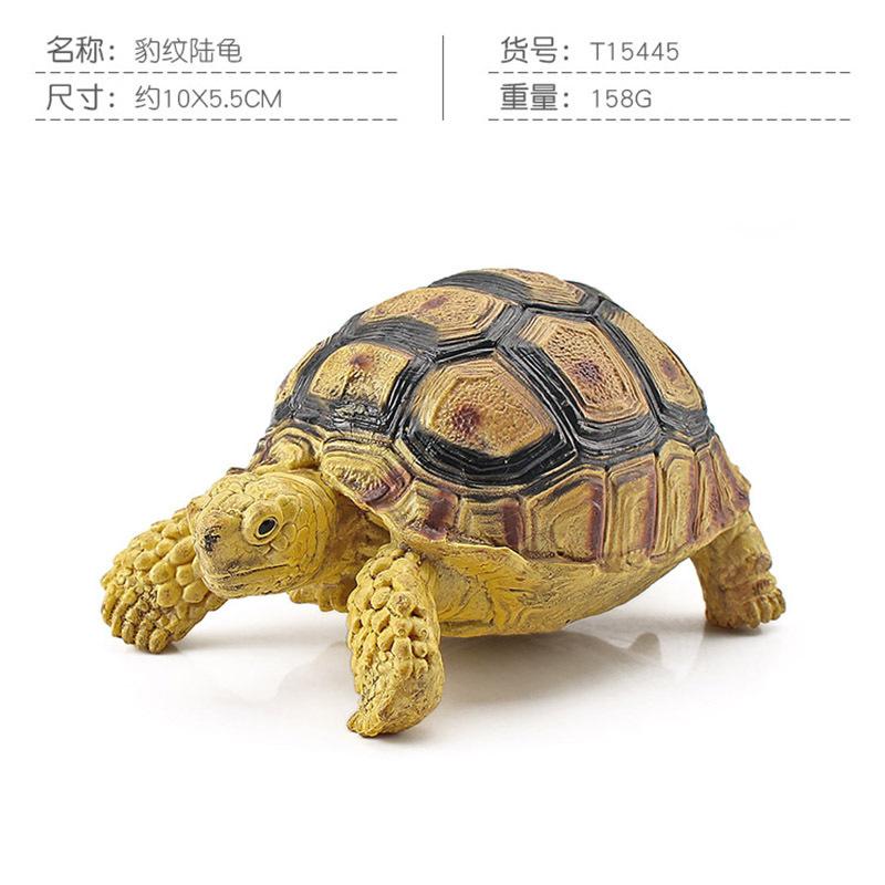 Simulation Amphibian Reptile Model Tortoise Tortoise Star Tortoise Static Decoration Cognitive Ornament Toy