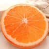 Fruit Slice Cushion With Vibrant Print And Fluffy Plush Material For Living Room And Bedroom Relaxation