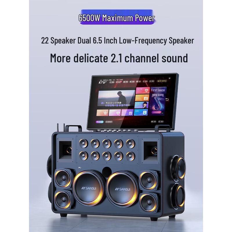 SANSUI C2 All-in-One Home KTV & Outdoor Karaoke Speaker with Display CN plug (adapter included)