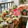 Regadera de Metal con Cinta Decorativa para el Cuidado de Plantas de Interior y Exterior Caño Largo Herramienta de Jardín para Flores Hierbas Verduras