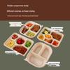 Corn Starch Disposable Compartment Lunch Box