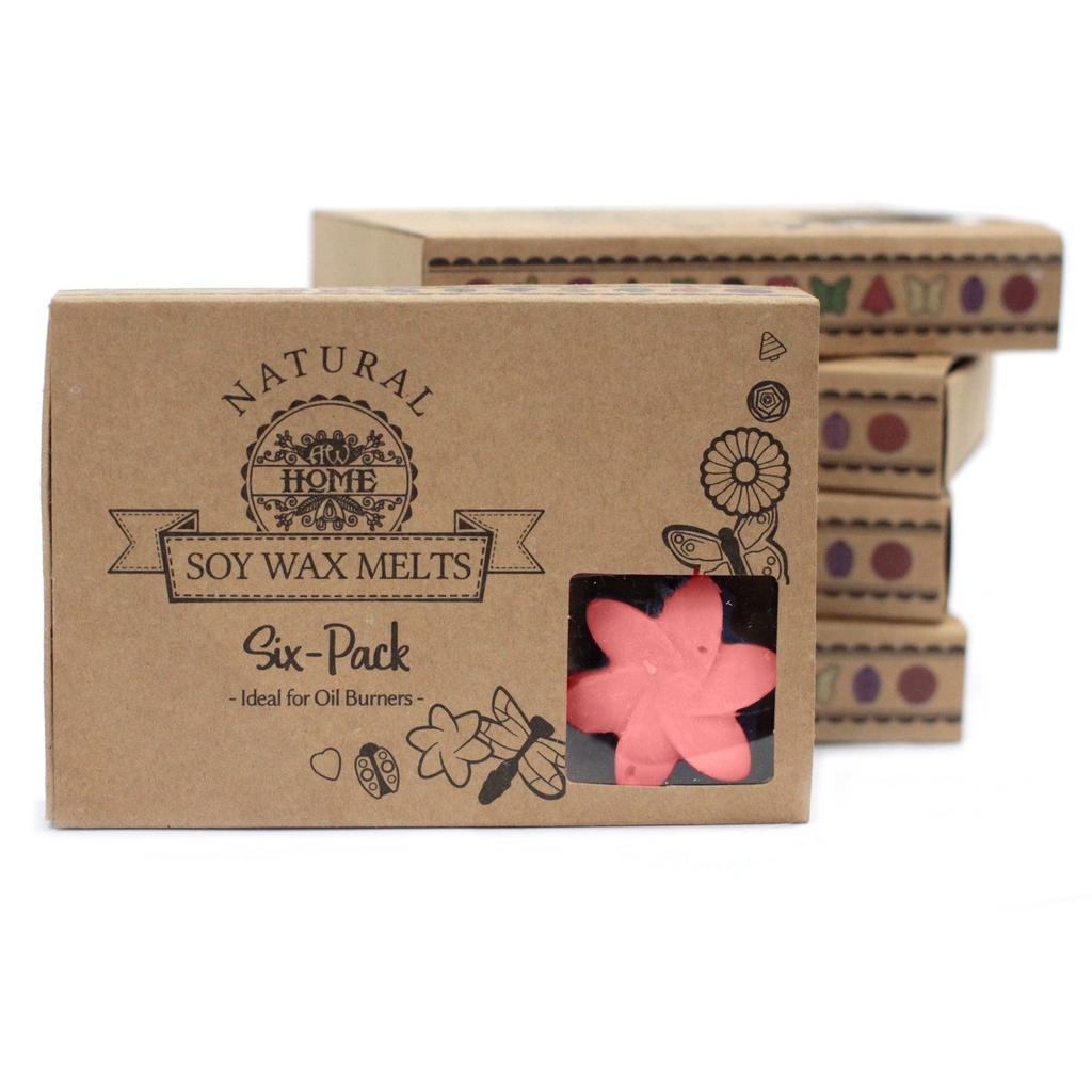 2x Wax Melts Japanese Magnolia Box