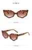 Summer Fashion Sunglasses Fashion Sunglasses Women's Versatile