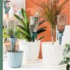 Automatic Plant Drippers, And Automatic Watering with Bottle Suitable For Indoor Outdoor Plants Adjustable Drip Rate Watering