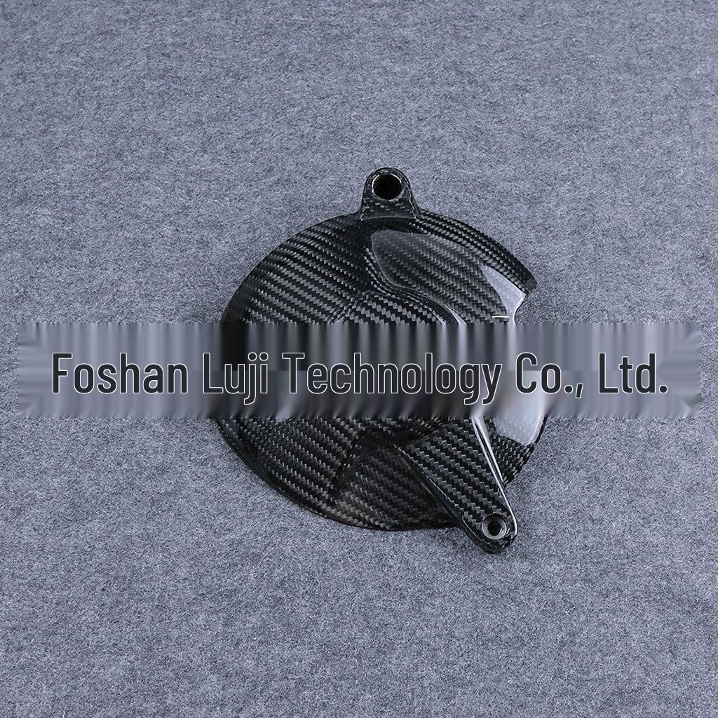 2015-2018 BMW S1000RR Carbon Fiber Engine Cover