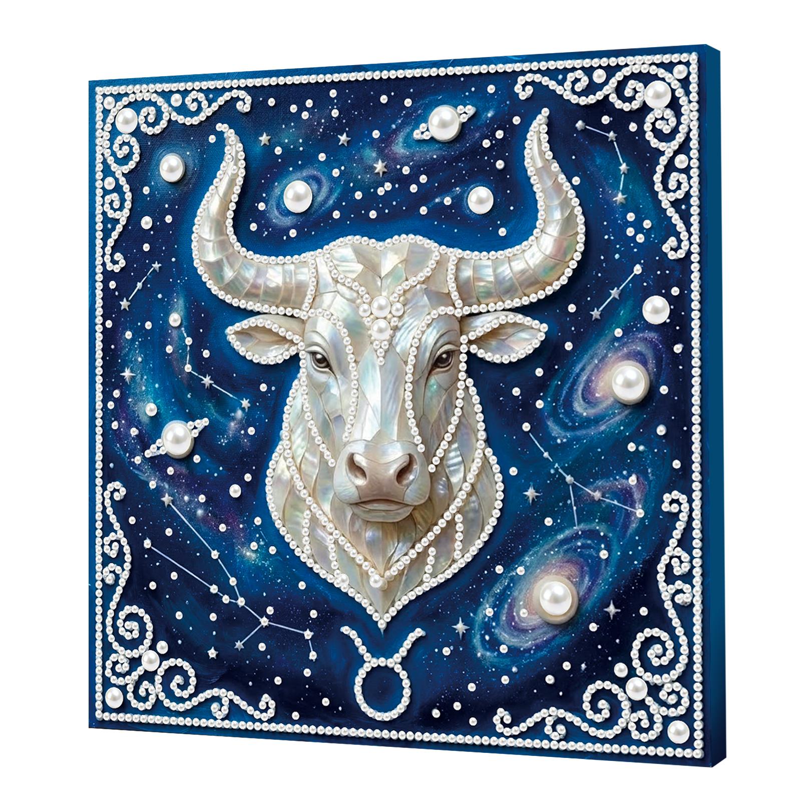 DIY Constellation Pearl Dot Painting for Adults & Beginners Home Wall Decor Pearl Painting Art Kits 25x25cm With Frame