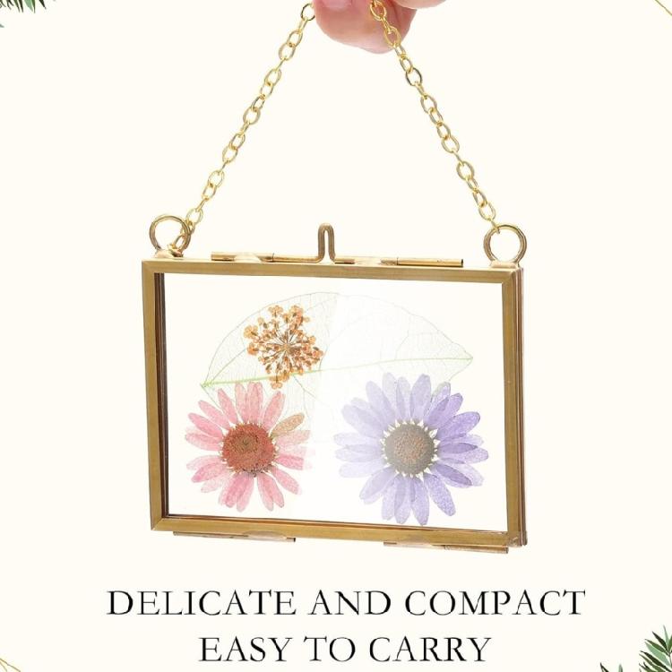 2Pcs Square Metal Glass Photo Frame Wall Hanging Dried Flower Display Holder Case For Pressed Flower and Home Decoration