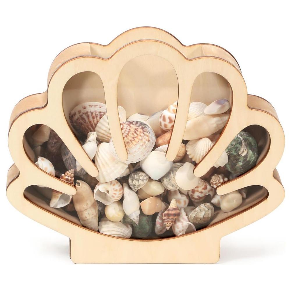 Exquisit Shell Storage Box Unique Wooden Display Box Creative Stones Storage Holder  Bedroom