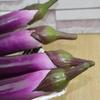 2pcs Lightweight Foam Eggplants Artificial Eggplants Simulated Vegetable Simulation Aubergines Accessory Home Decor