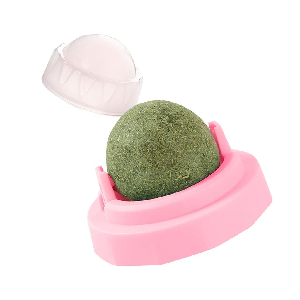 Catnip Ball Rotating Ball Grinding Teeth Cleaning Self-Hilarious Bite-Resistant Interactive Toy Wooden Tian Liao Ball