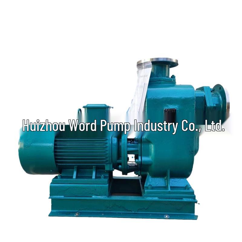 Huiwode 100ZW80-20-7.5/4 Horizontal Centrifugal Sewage Treatment Pump