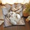 Cute Fluffy Ragdoll Kitten Pillow Cover Realistic Cat Print Cozy Pet Cushion Case For Sofa Bed Couch Cat Lover Home Decor Gifts