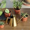 Gold Plant Watering Pot Long Spout Long Spout Watering Can Metal Watering Can  Plant Maintenance