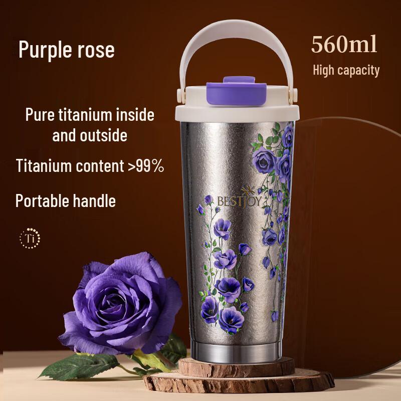 FUGUANG 560ml Stainless Steel Insulated Mug