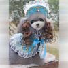 Dog Cape British Elegant Trench Coat Four Seasons Can Wear Cross-dressing Shawl Handsome Cute Pet Clothes