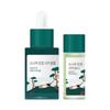 Round Lab [intensive Calming] Round Lab Pine Tree Soothing Cica Ampoule 30ml Project  + Toner 20ml 