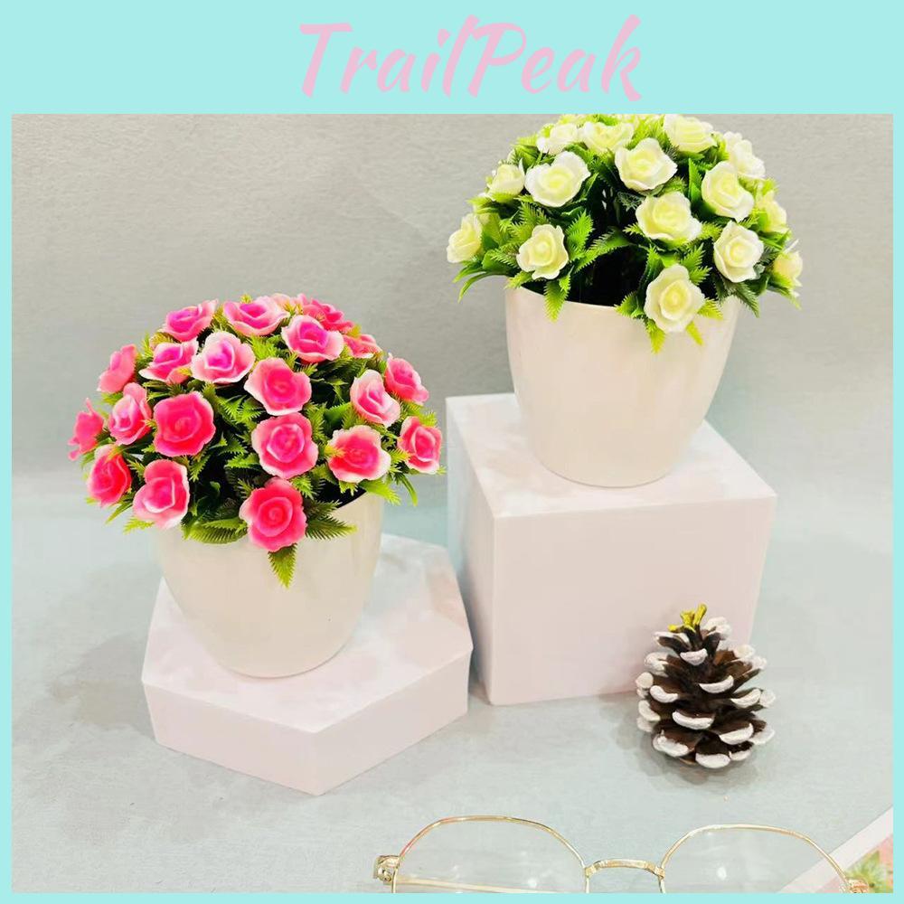 Plastic Indoor Decorative Sphere With Faux Fuchsia Flowers For Office Displays